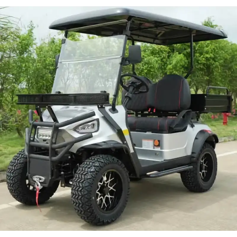 Electric Club Cart - 2 Seats